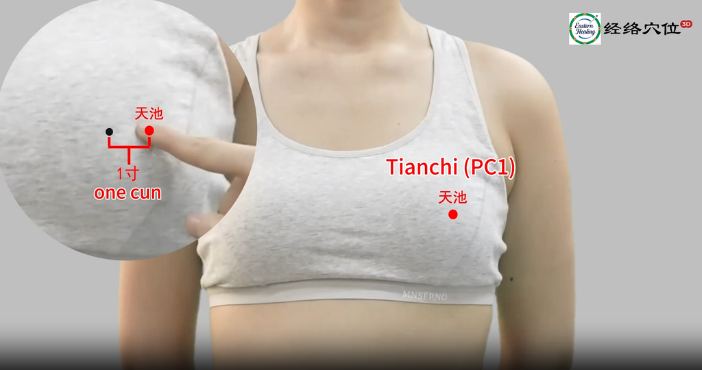 Pericardium Meridian (PC)