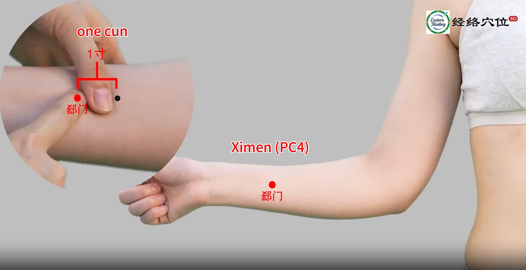 Pericardium Meridian (PC)