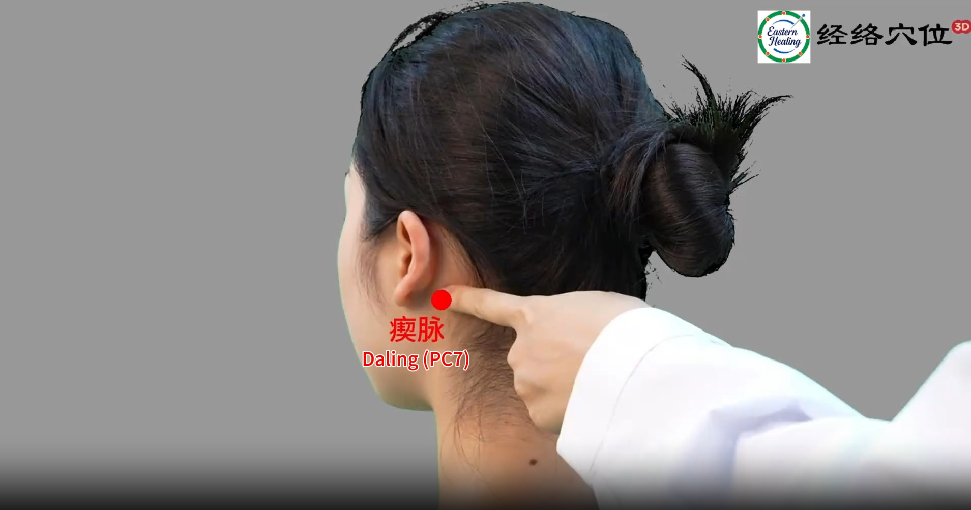 Triple Burner / San Jiao Meridian (SJ / TB)