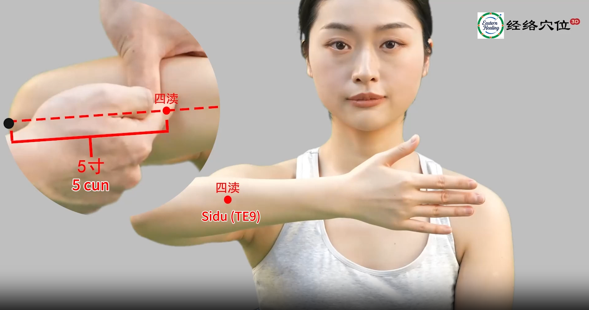 Triple Burner / San Jiao Meridian (SJ / TB)