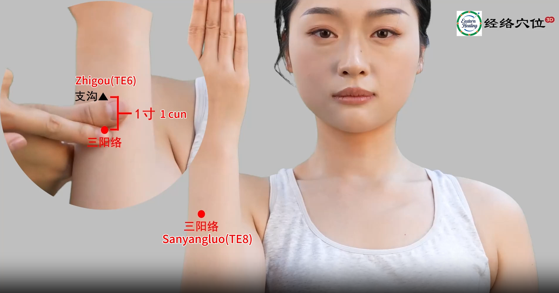 Triple Burner / San Jiao Meridian (SJ / TB)