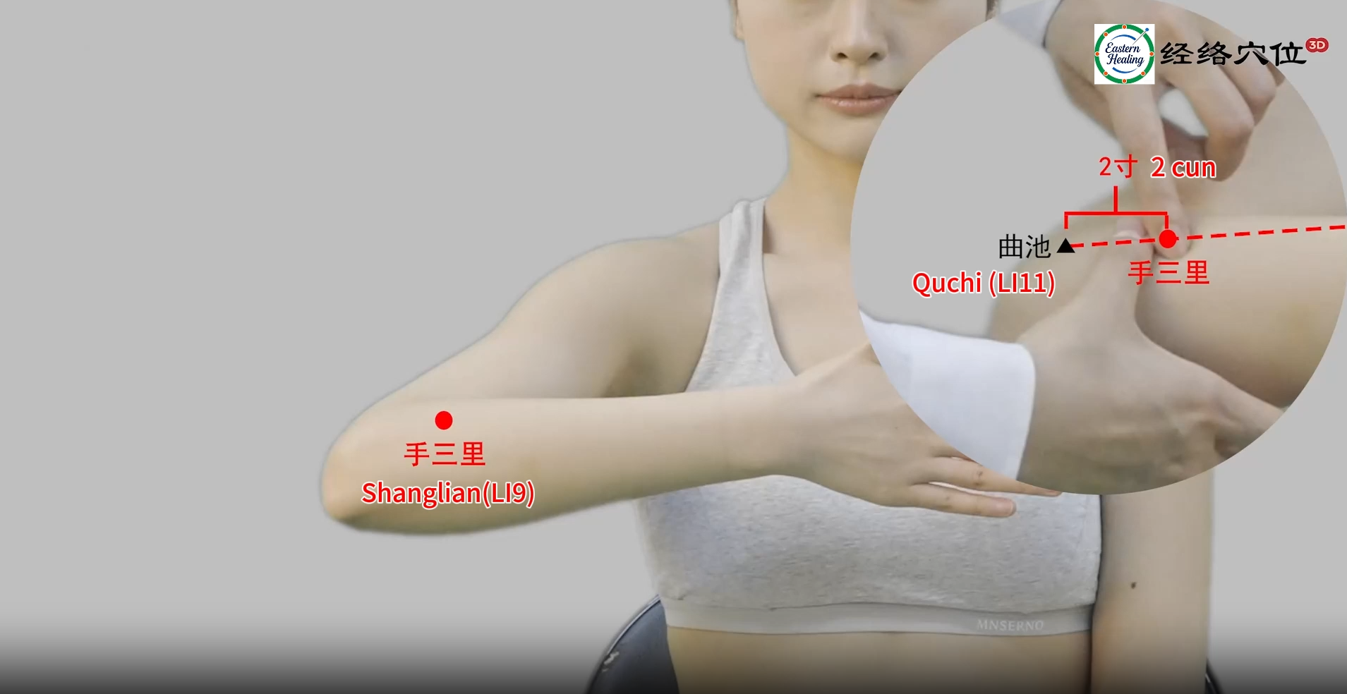 Large Intestine Meridian (LI)