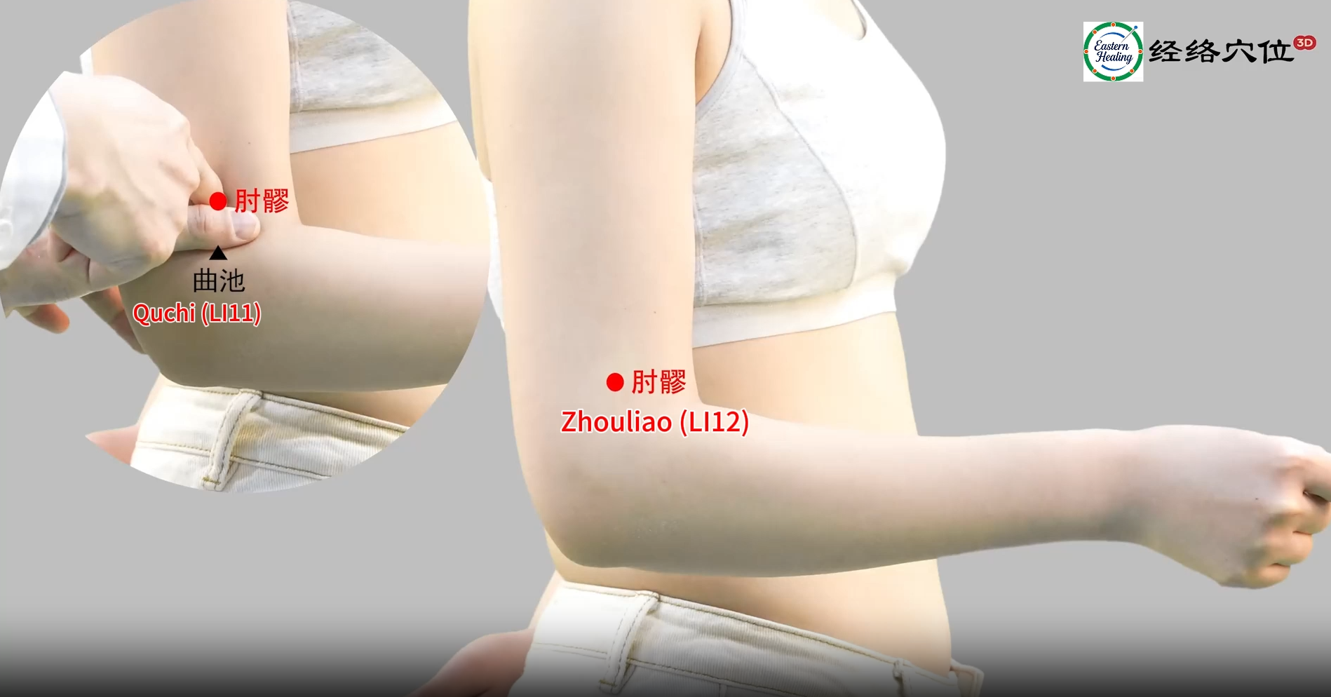 Large Intestine Meridian (LI)