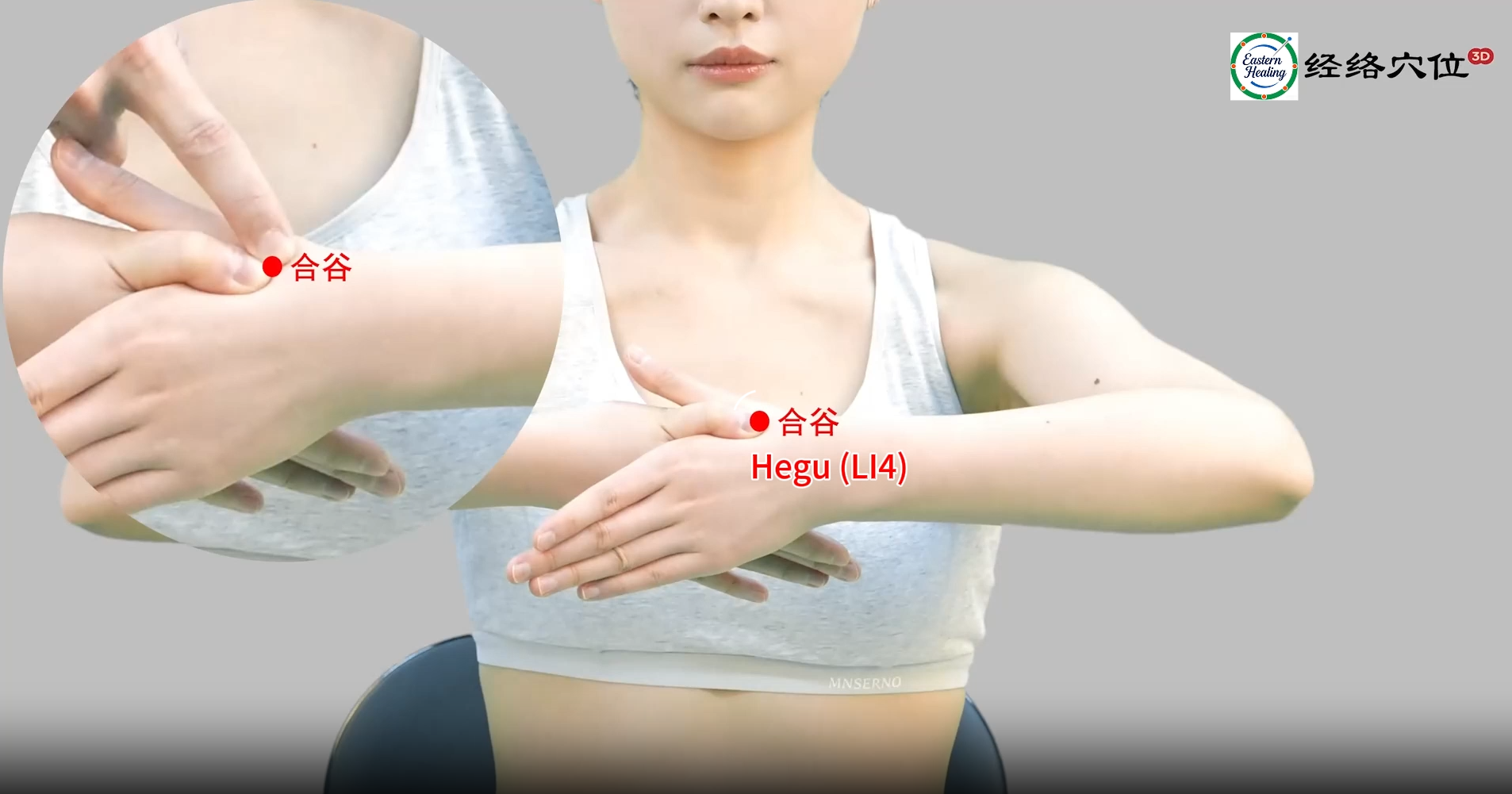 Large Intestine Meridian (LI)