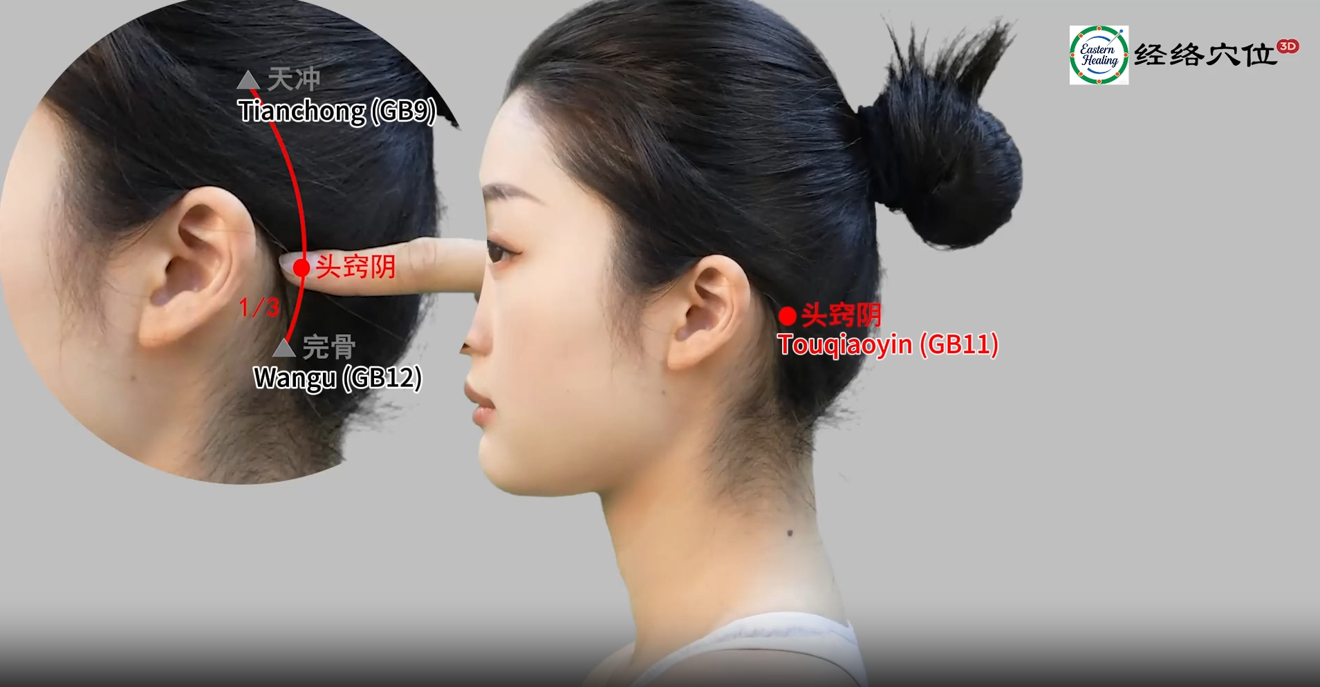 Gallbladder Meridian (GB)