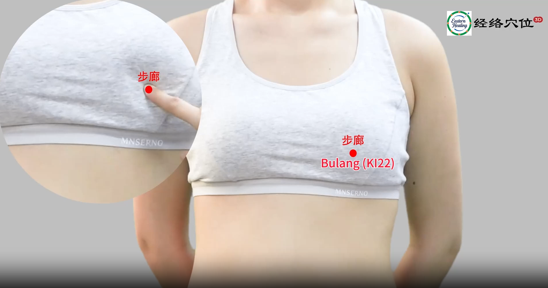 Kidney Meridian (KI / KD)