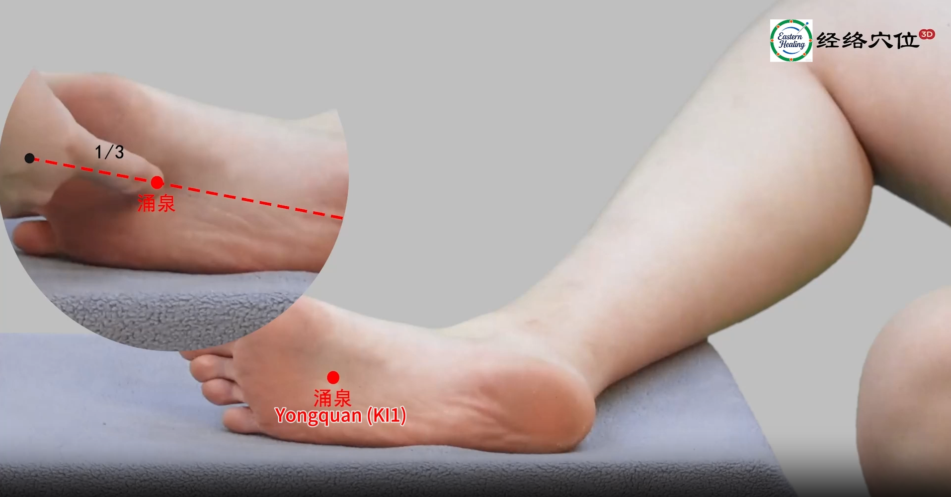 Kidney Meridian (KI / KD)