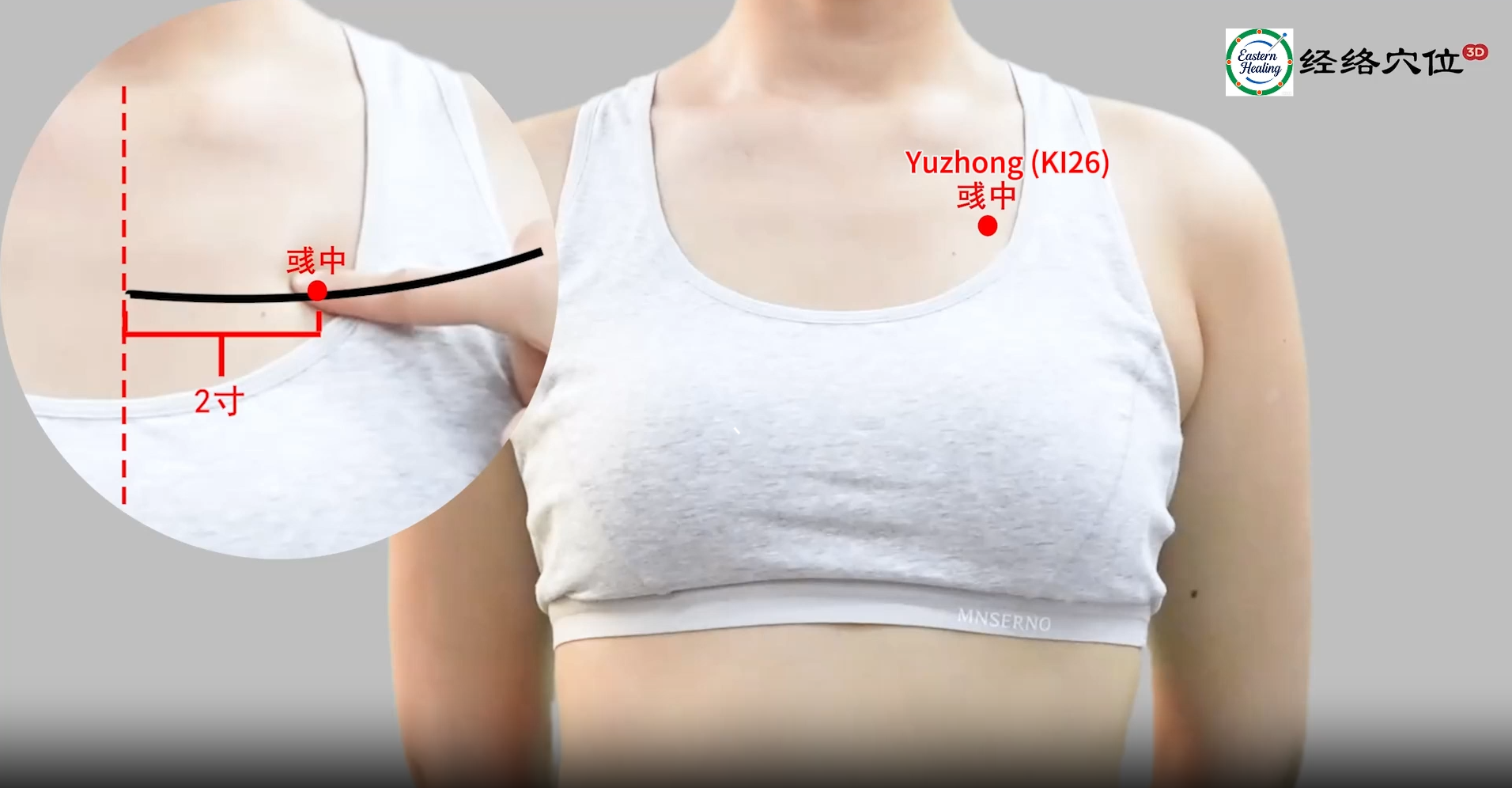 Kidney Meridian (KI / KD)