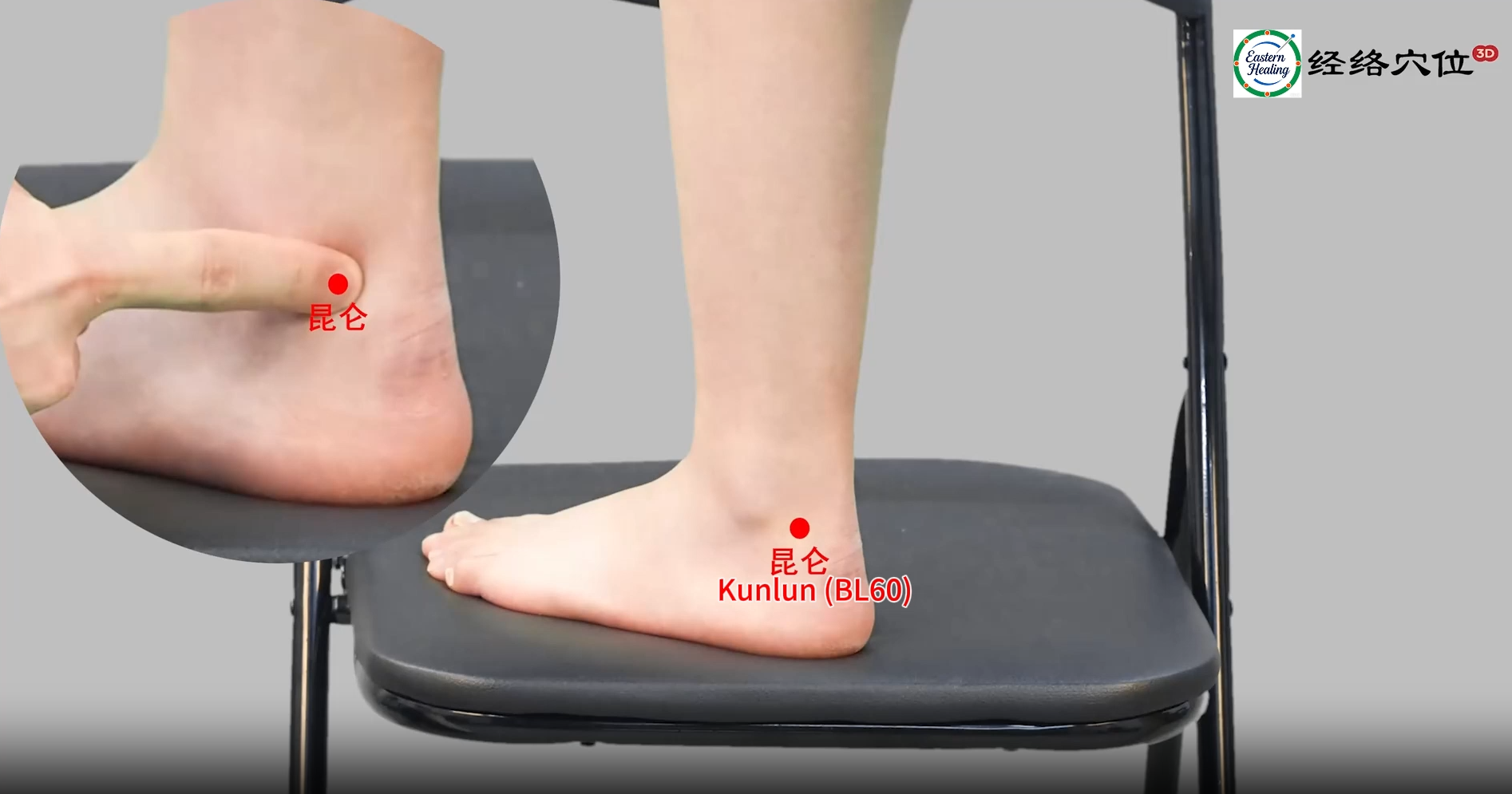 Bladder Meridian (BL / UB)