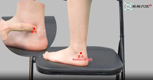 Bladder Meridian (BL / UB)