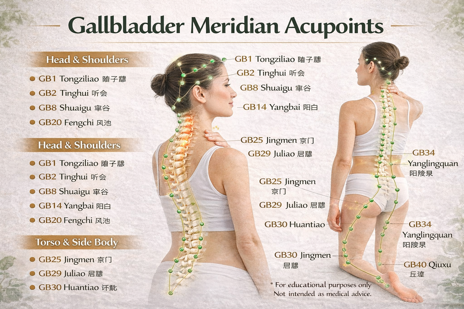 Gallbladder Meridian (GB)